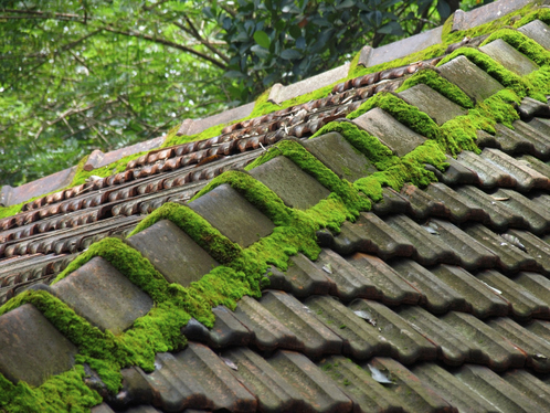 Démoussage de toiture à Saint-Sauflieu